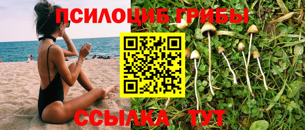 Гусев  Псилоцибиновые грибы GOLDEN TEACHER  Вход с VPN  Галлюциногенные грибы ЛСД 