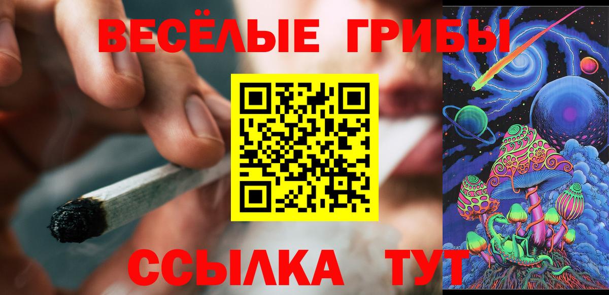 Псилоцибиновые грибы мухоморы Гусев